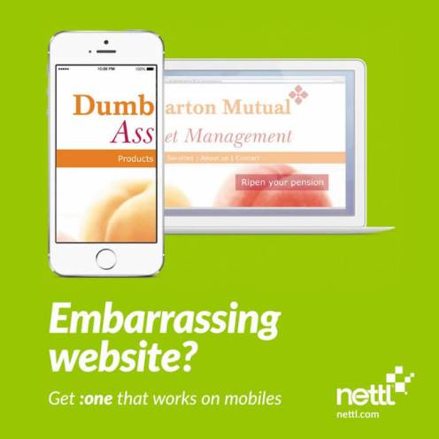 mobile-friendly-web-design-nettl-dumb-ass